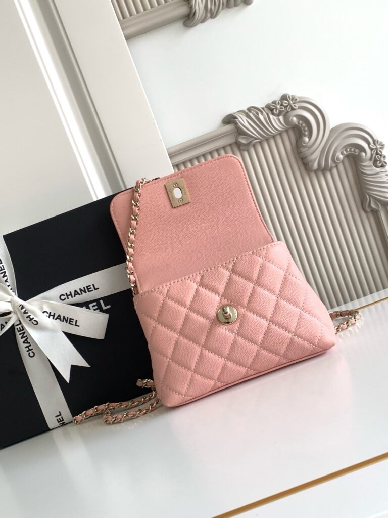 Coco Handle Mini Bag - 11 Style Available,Premium Quality 12 (1)