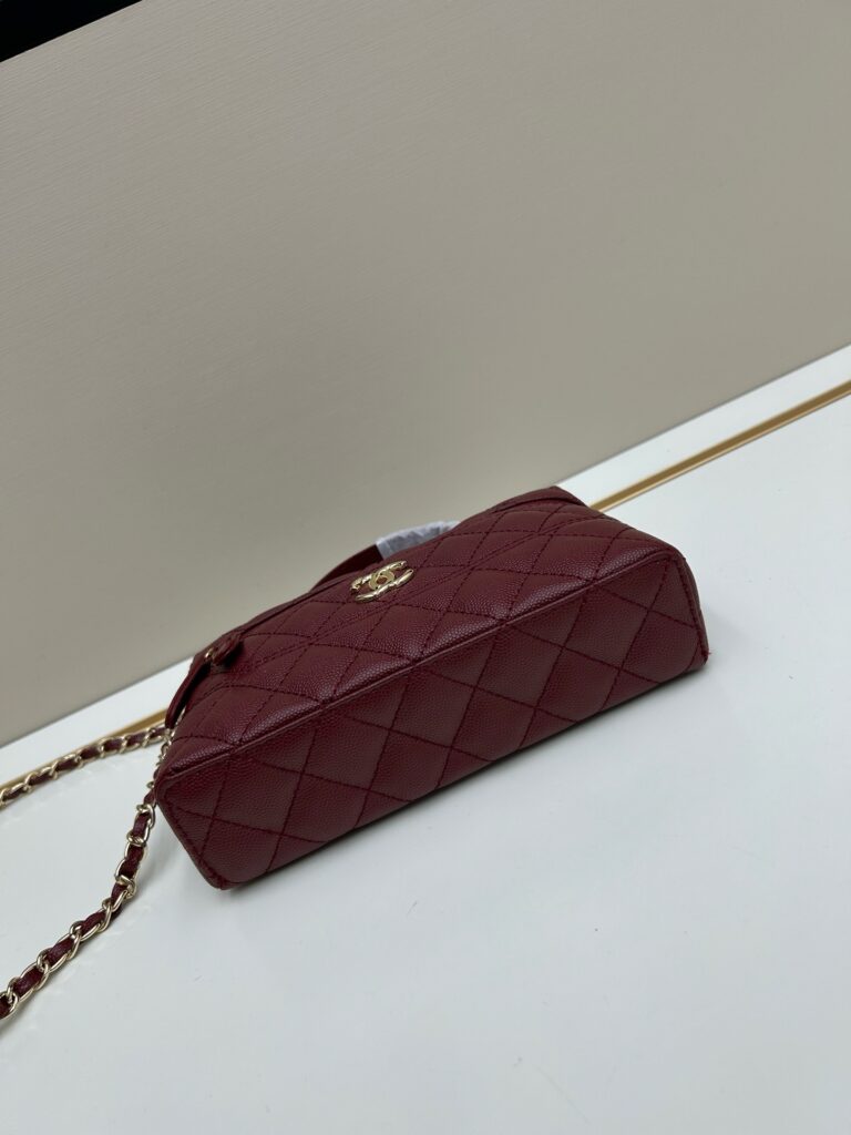LP Vanity Bag|2025 New Style - 4 Colors Available 20=== (9)