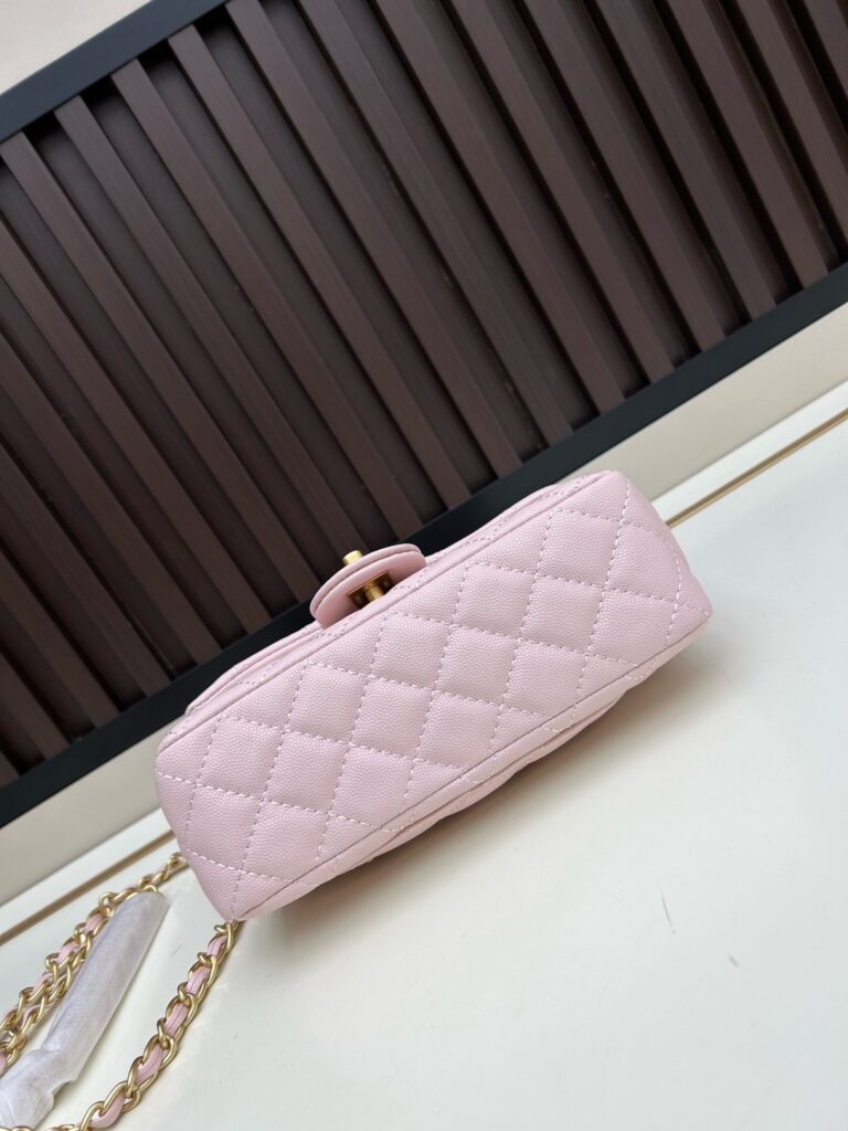 25B CF Handle Mini Bag|Comes with Box - 5 Colors Available 31 (10)