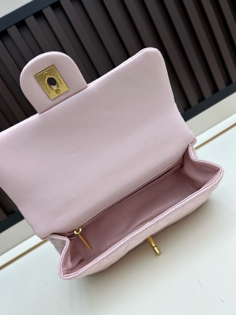 25B CF Handle Mini Bag|Comes with Box - 5 Colors Available 31 (12)