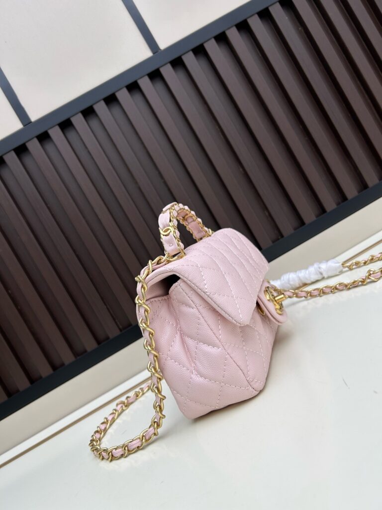 25B CF Handle Mini Bag|Comes with Box - 5 Colors Available 31 (7)