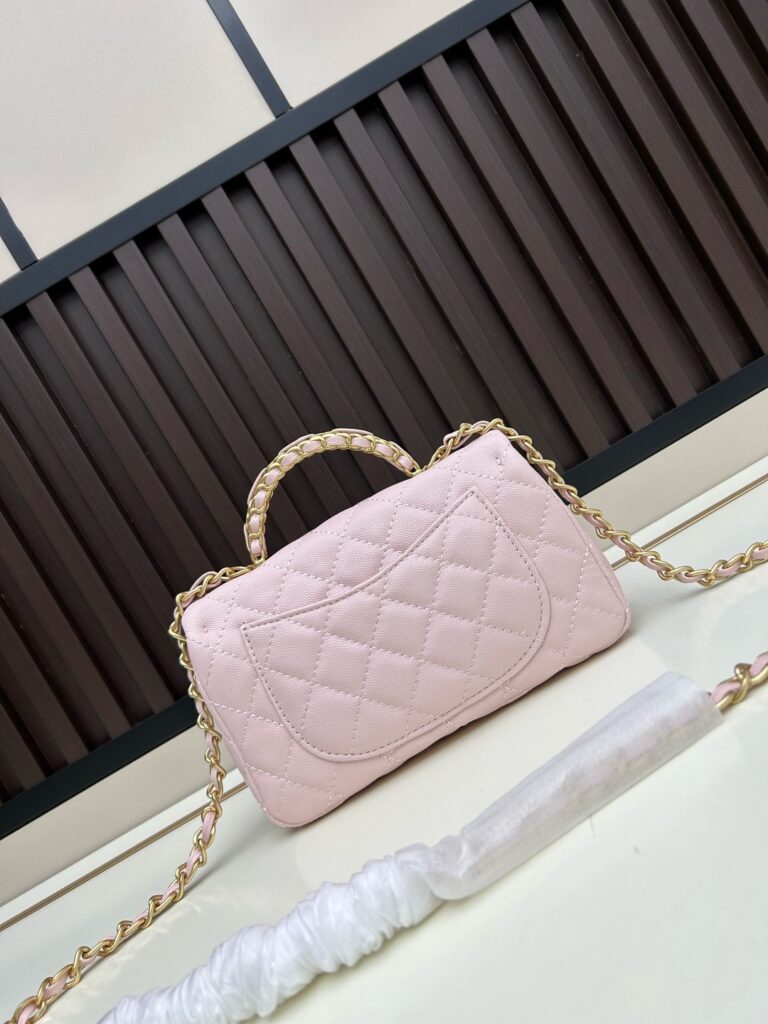 25B CF Handle Mini Bag|Comes with Box - 5 Colors Available 31 (8)