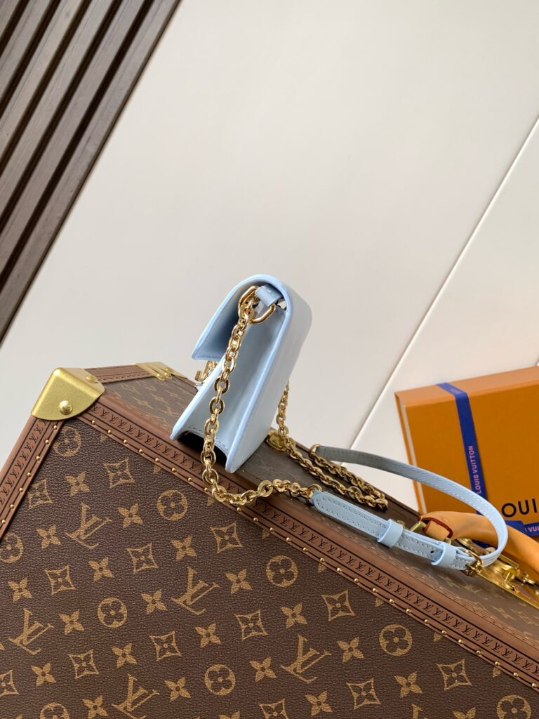 Wallet On Chain Bag - 4 Colors Available,Premium Quality 56=== (6)