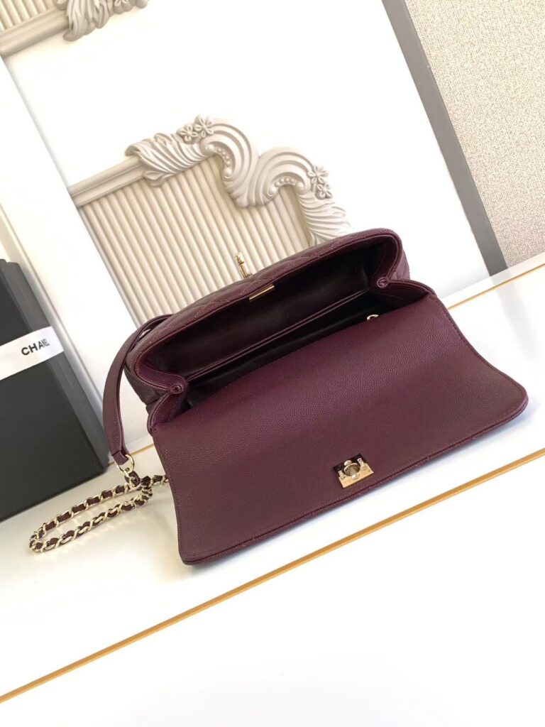 Coco Handle Flap Bag - 12 Style Available,Premium Quality 9 (6)