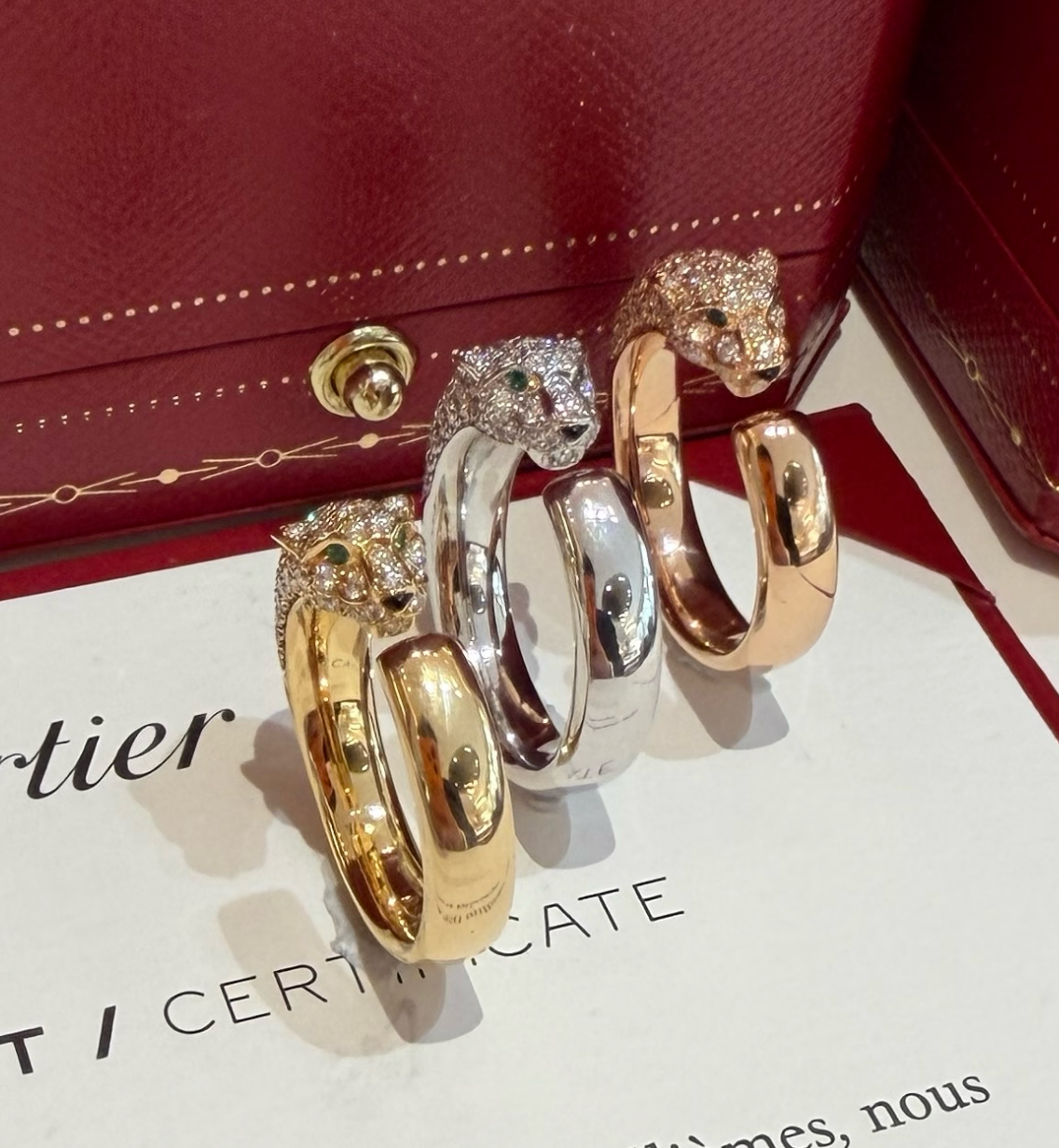 PANTHÈRE DE CARTIER auto draft
